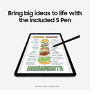 Samsung Galaxy Tab S9 Plus 12.4inches 256GB