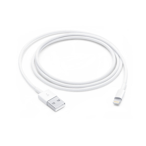 Apple Lightning to USB  Cable (1m)