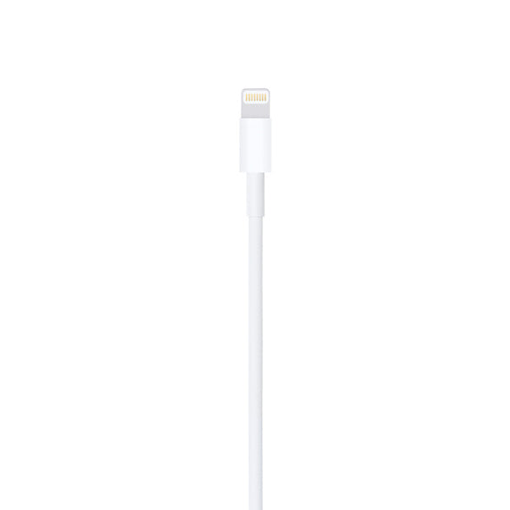 Apple Lightning to USB  Cable (1m)