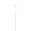 Apple Lightning to USB  Cable (2m)