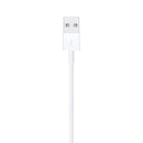 Apple Lightning to USB  Cable (1m)